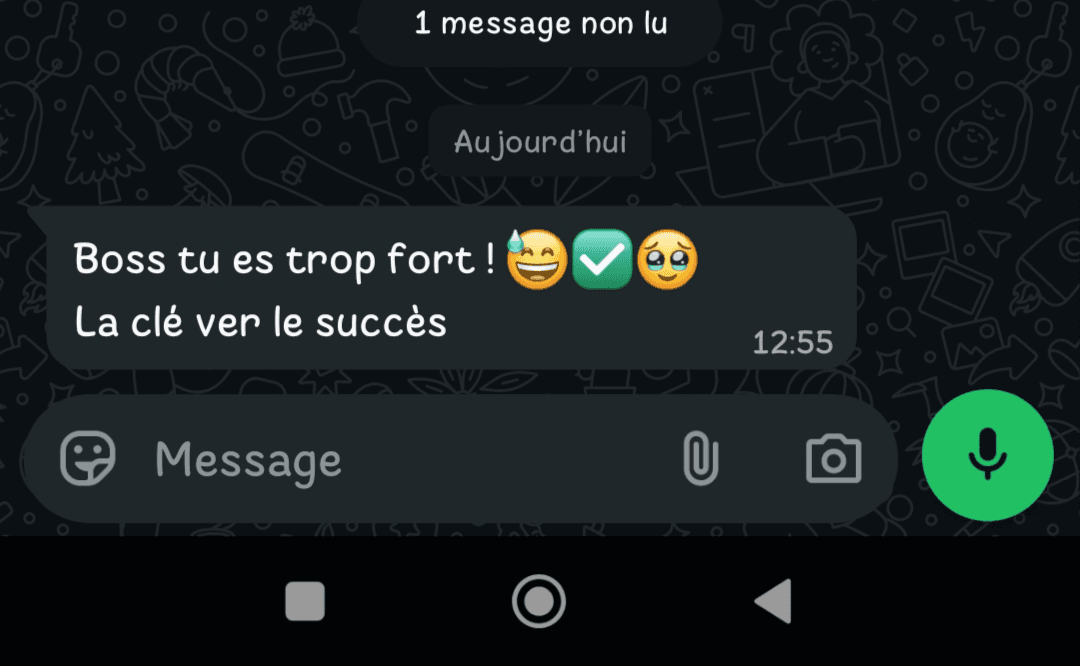 Capture anonymisée d’un témoignage reçu par JAL Academy